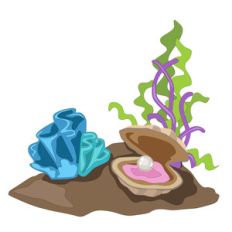clams and sea plants