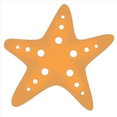 starfish