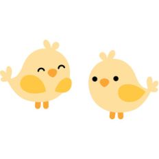 birds