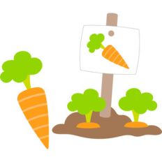 carrots