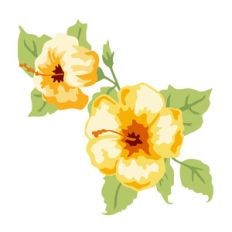 hibiscus flowers