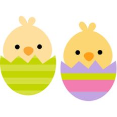 chick in egg