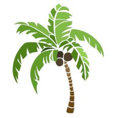 palm tree