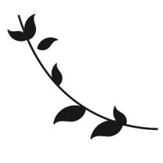 spring vine