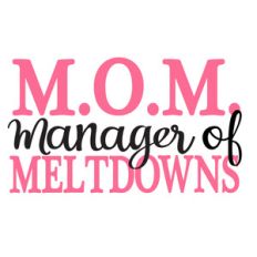 mom manager of meltdowns