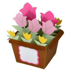 tulip flower pot - card in a box
