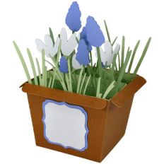 spring flower pot - card in a box