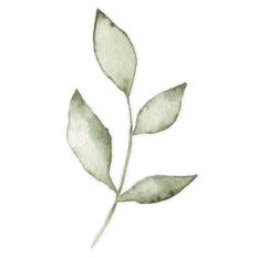 green watercolor leaves