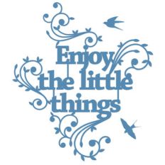 enjoy the little things