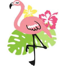 tropical flamingo