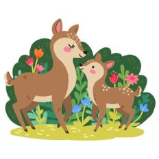 deer and fawn