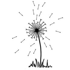 dandelion