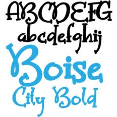 zp boise city bold