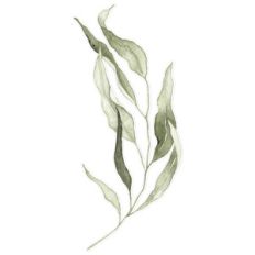 green watercolor branch