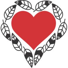 feathers around heart