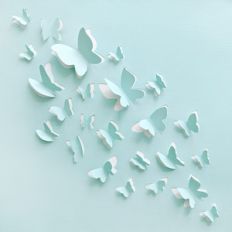 cut and fold butterflies