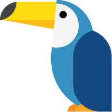 toucan