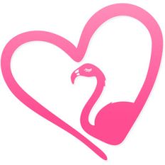 flamingo love