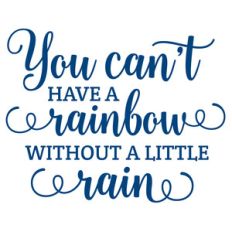 you can't have a raindow without a little rain