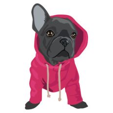 frenchy in a hoodie