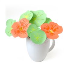 3d nasturtium flower