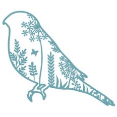 meadow bird