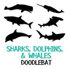 sharks, dolphins and whales doodlebat