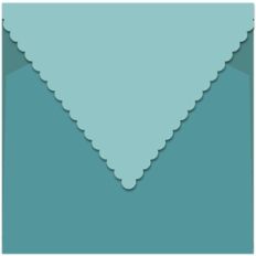 fan envelope