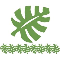 tropical leaf and leaf border