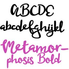 zp metamorphosis bold