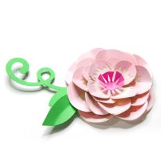 delicate accented flower