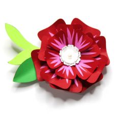 magnificent accented flower