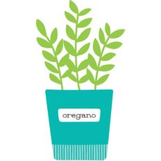 oregano