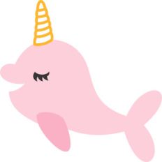 narwhal whale