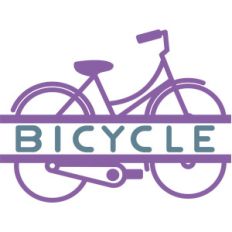 split bicycle