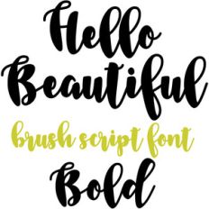 hello beautiful brush script font bold