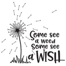 some see a weed some see a wish dandelion