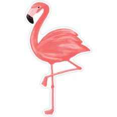 flamingo