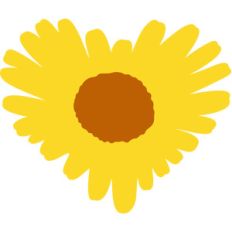 sunflower heart flower