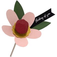 sucker flower
