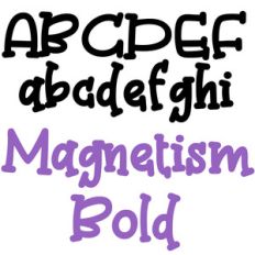 zp magnetism bold