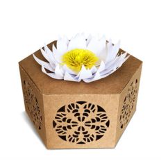 gift box with chrysanthemum