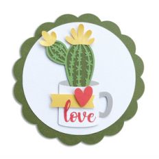 cactus in a mug