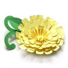 shapely accented flower