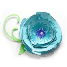 ideal accented flower