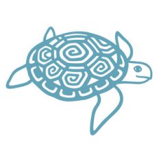 swimming turtle