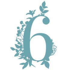 6 flower number