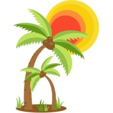 coconut trees