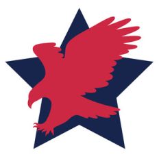 independence day eagle