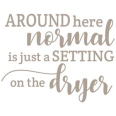 around here normal is just a setting on the dryer